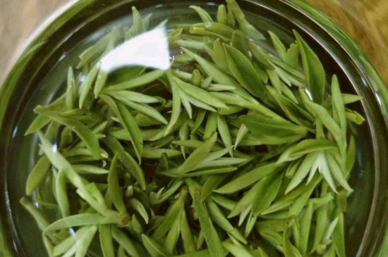 什么綠茶茶葉唇齒留香，哪個品種綠茶香氣好？