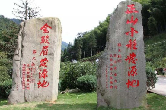 300塊錢(qián)的金駿眉能喝嗎，兩三百多金駿眉和一千多區(qū)別