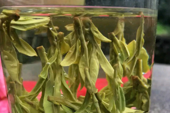 什么綠茶最香最好喝，綠茶口感與香氣排名