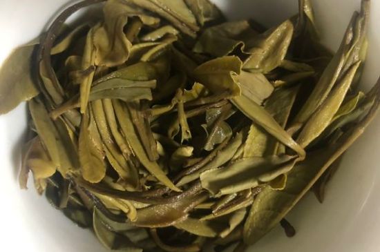 三年白茶賽砒霜，這是真的嗎？