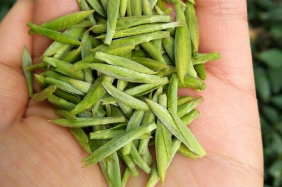 什么綠茶味道濃香，那個(gè)綠茶比較濃香？