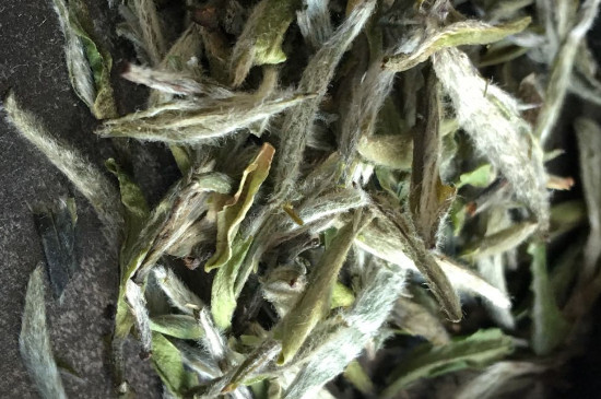 白毫銀針年份久的有什么香，陳年白毫銀針的香氣