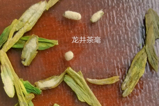 西湖龍井茶毫和發(fā)霉區(qū)別圖片，長霉的龍井茶葉會(huì)是什么樣？