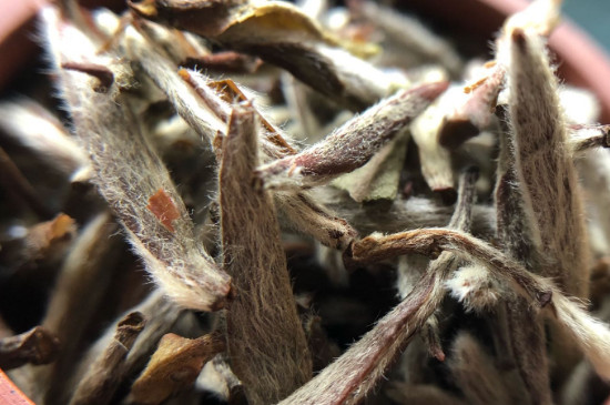 白毫銀針年份越久越好嗎，銀針白毫是否越陳越好