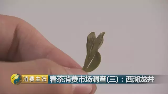 龍井群體種和43號的區(qū)別圖片，龍井43和群體種哪個(gè)好喝？