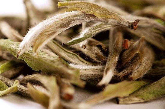 荒野銀針有什么特點，荒野銀針的味道口感咋樣？