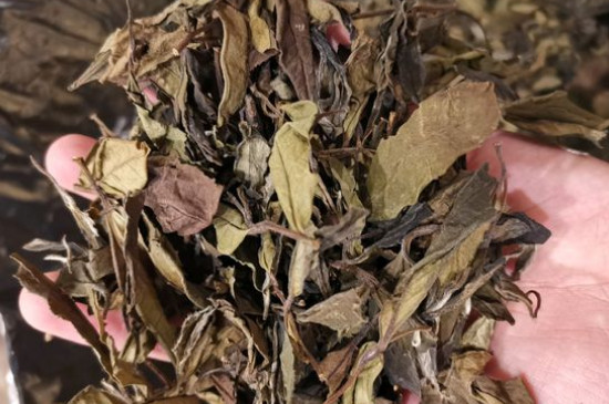 新舊白茶怎么區(qū)分，怎么分辨白茶是新還是舊