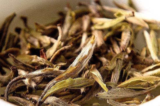 荒野銀針市場價多少，真正的荒野白毫銀針多少錢？