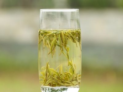 霍山黃芽算是好茶嗎，霍山黃芽屬于什么茶？