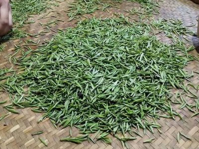 金駿眉幾年可以算陳茶，金駿眉新茶好還是老茶