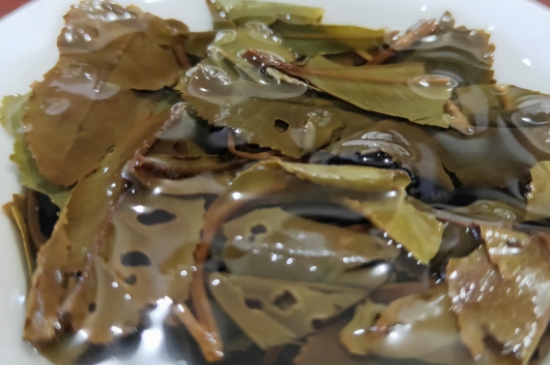 白茶三年為藥七年為寶的原理，為什么說一年茶三年藥七年寶？