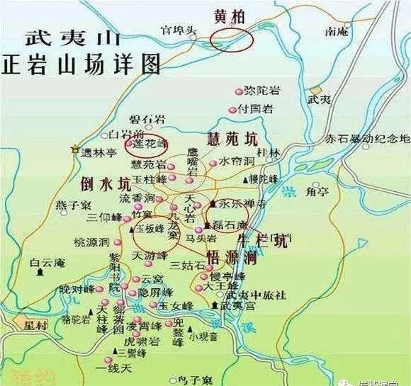 300塊錢(qián)的金駿眉能喝嗎，兩三百多金駿眉和一千多區(qū)別