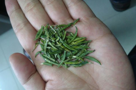 竹葉青茶怎么泡，竹葉青如何沖泡