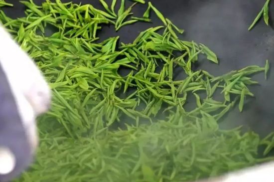 碧螺春為什么泡水渾濁，碧螺春茶葉泡水感覺很臟是混濁的