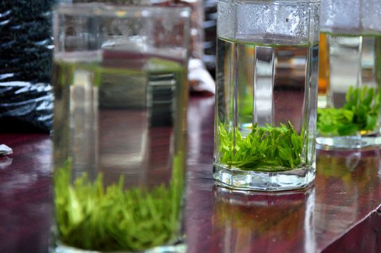 綠茶放了三年還能喝嗎，綠茶放久了喝了會(huì)怎樣