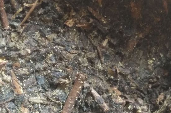 黑茶茯茶保存五大忌，茯茶收藏的注意事項(xiàng)