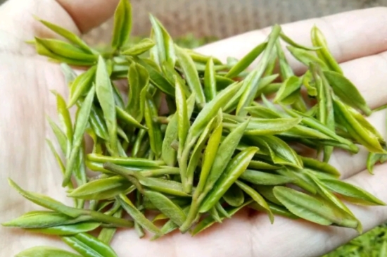 什么是雪前龍井茶，明前、雨前、雨后龍井有什么區(qū)別？