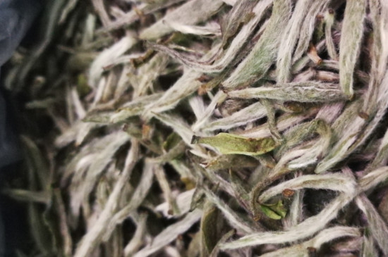 白毫銀針年份越久越好嗎，銀針白毫是否越陳越好